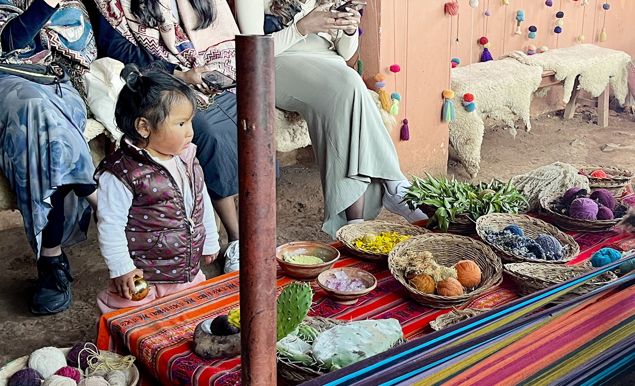 A young peruvian girl next to alpaca wool