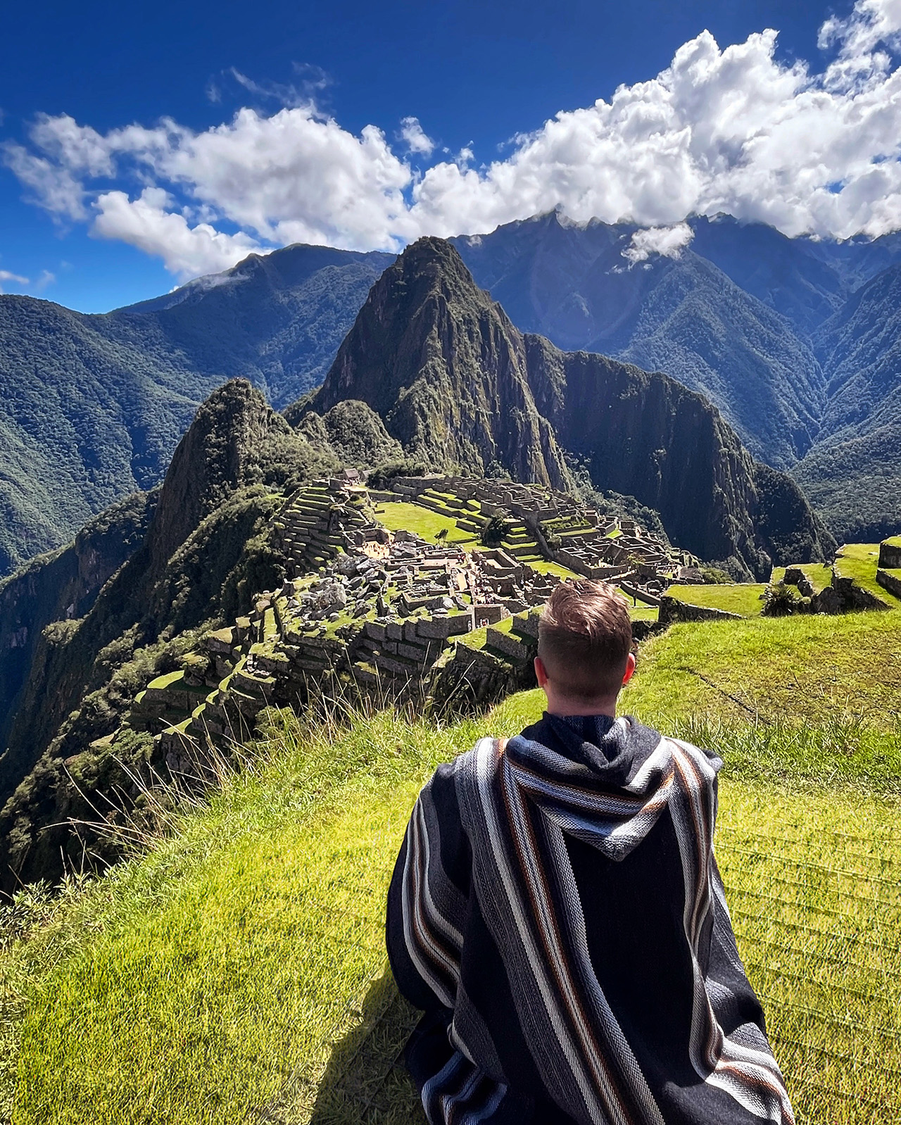 Cactus in Cusco Peru